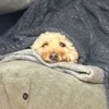 stantheman4474