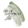 lifeofsothigan_tv
