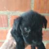 jorgecabanzo10347gmail.c