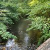naturegirl800