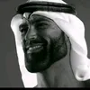 mr.bibi3