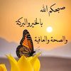 bellina143j