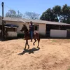 grembrazil