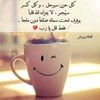 user425938682