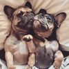 agirlandherdogs3