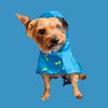 yorkiemydog