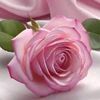 user_32357