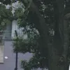 mmmmi36