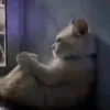 nrdajwlol