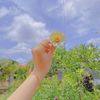 vantran_3010