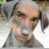 user143483244