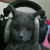 .wasd__
