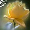 mmee151