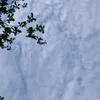 t_an30.4