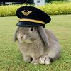 thesevenbuns