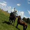 user64171441