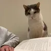 Shelfcentred