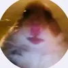 username333333z
