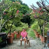 jonalyndulay061499