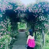 only_12091995