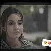 safennajar