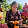anjalibasnet04