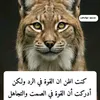 noor.noor58
