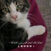0551188aeat0