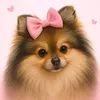 tammylulupomerania