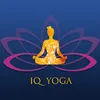 IQ YOGA