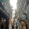 pauline_nxs