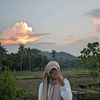 widiww24