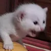 cuti_63