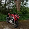 uzzy_zy