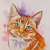helenclaire87