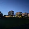 barschbaron96
