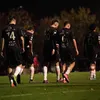 raphael_7__
