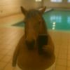 anthonny6859