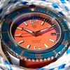 seabornewatch