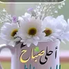 aboshm02