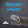 Dragon Smart