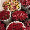 royal_705