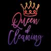 annie_queenofcleaning