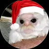 fredson_smith