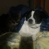 marla_six4