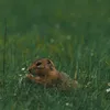 h.duc05