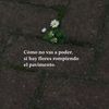 conce_apaza