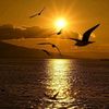 mohamed.fawzy87