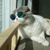 susulovecat