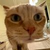 meowwy08_